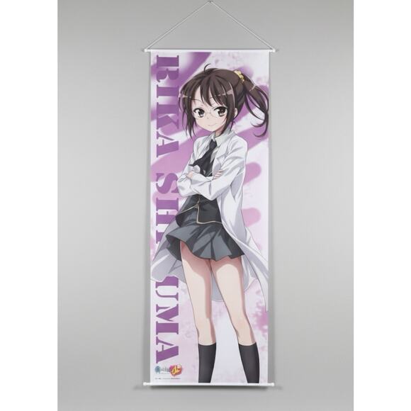 This is a Boku wa Tomodachi ga Sukunai Rika Shiguma 55”x20” - Picture 1 of 1